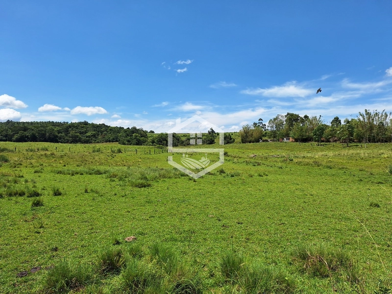 CHÁCARA 23 HECTARES TODA CERCADA !: 6ª foto da galeria de imagens do imóvel
