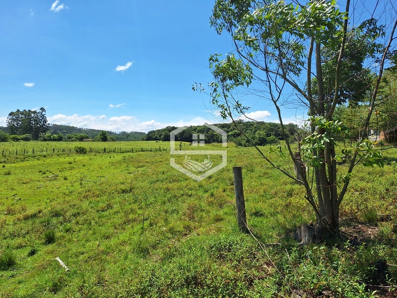 CHÁCARA 23 HECTARES TODA CERCADA !: 14ª foto da galeria de imagens do imóvel