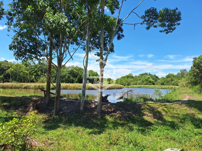 CHÁCARA 23 HECTARES TODA CERCADA !: 3ª foto da galeria de imagens do imóvel