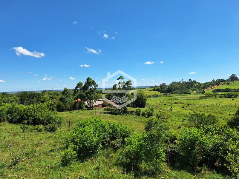 CHÁCARA 23 HECTARES TODA CERCADA !: 18ª foto da galeria de imagens do imóvel