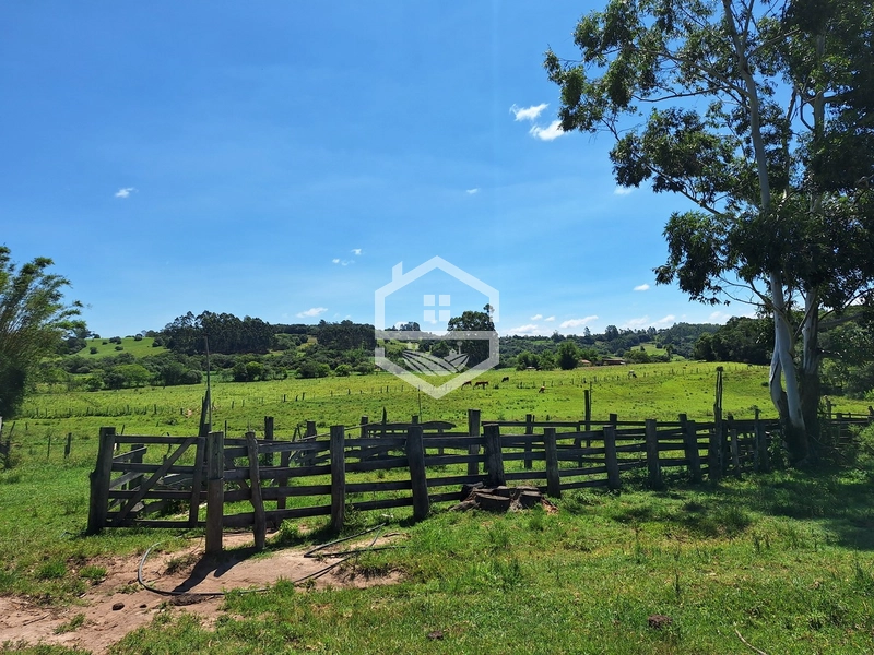 CHÁCARA 23 HECTARES TODA CERCADA !: 13ª foto da galeria de imagens do imóvel