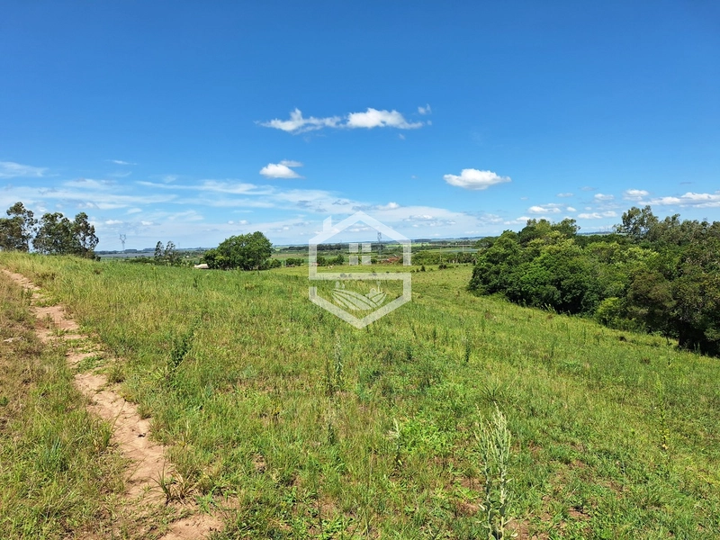 CHÁCARA 23 HECTARES TODA CERCADA !: 15ª foto da galeria de imagens do imóvel