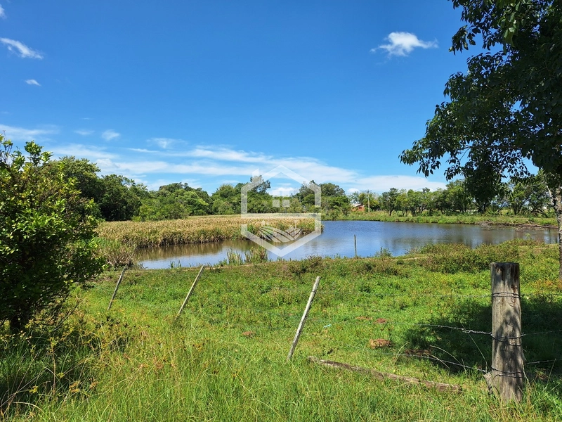 CHÁCARA 23 HECTARES TODA CERCADA !: 12ª foto da galeria de imagens do imóvel