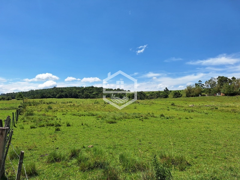 CHÁCARA 23 HECTARES TODA CERCADA !: 4ª foto da galeria de imagens do imóvel