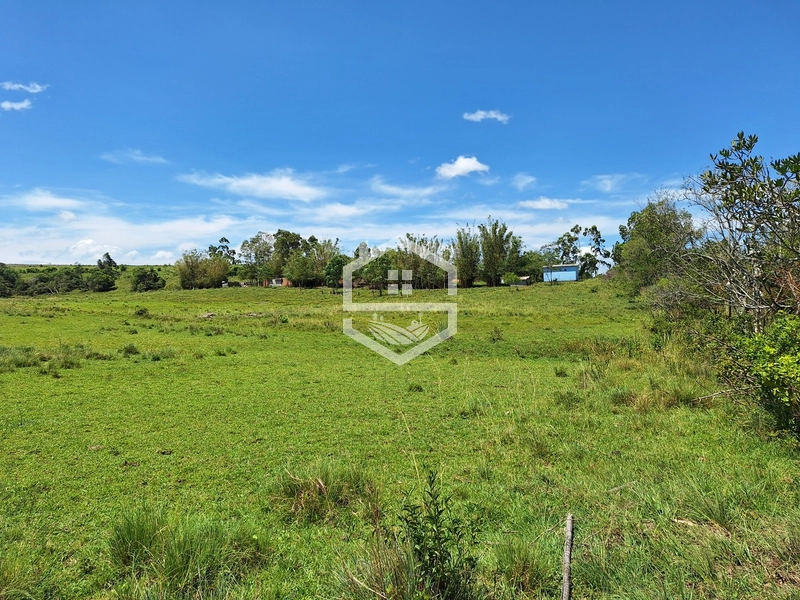 CHÁCARA 23 HECTARES TODA CERCADA !: 5ª foto da galeria de imagens do imóvel