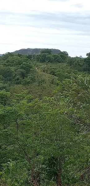 Fazenda Próxima a Rondonópolis.: 11ª foto da galeria de imagens do imóvel