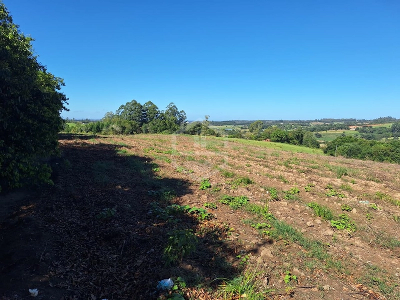 UM LINDO SÍTIO ESPERA POR VOCÊ EM CAMAQUÃ.: 12ª foto da galeria de imagens do imóvel
