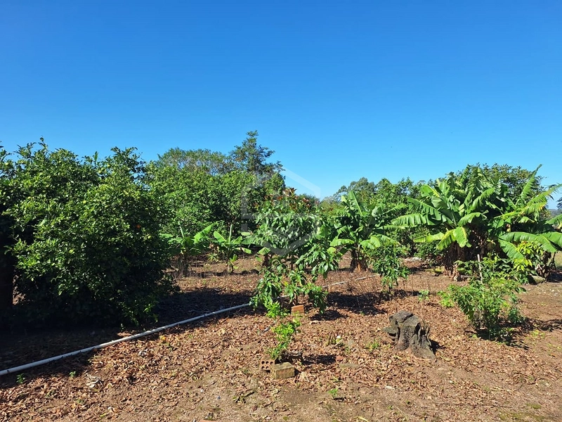 UM LINDO SÍTIO ESPERA POR VOCÊ EM CAMAQUÃ.: 9ª foto da galeria de imagens do imóvel