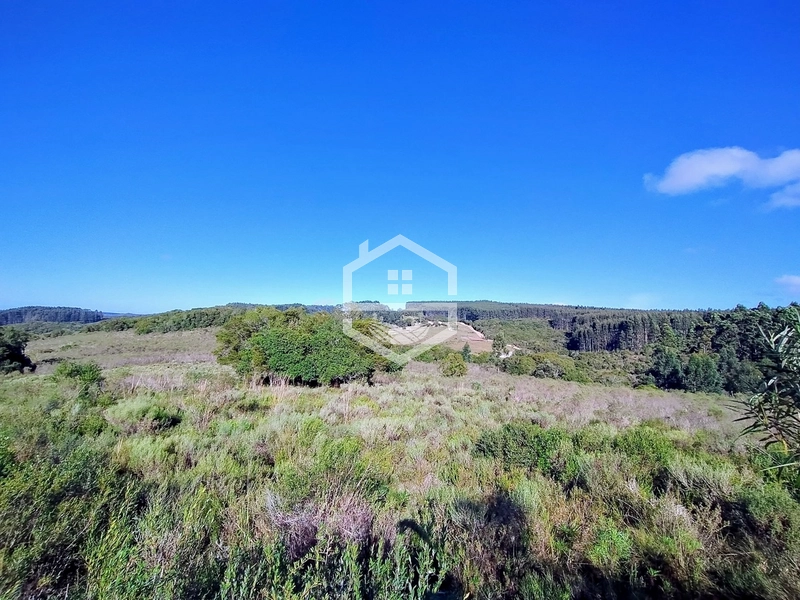 TRIPLA Aptidão, Agropecuária e Turismo Rural!: 4ª foto da galeria de imagens do imóvel