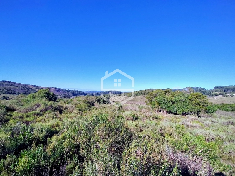 TRIPLA Aptidão, Agropecuária e Turismo Rural!: 18ª foto da galeria de imagens do imóvel