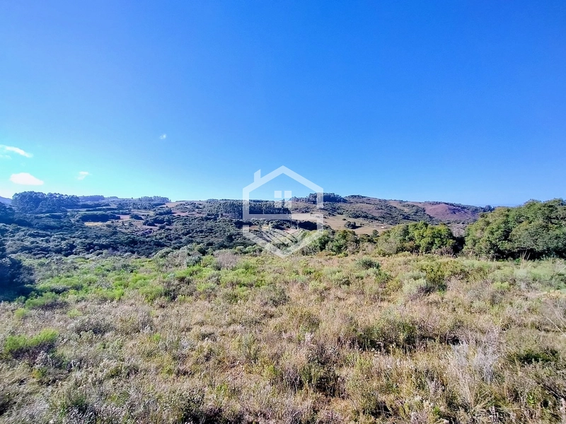 TRIPLA Aptidão, Agropecuária e Turismo Rural!: 7ª foto da galeria de imagens do imóvel