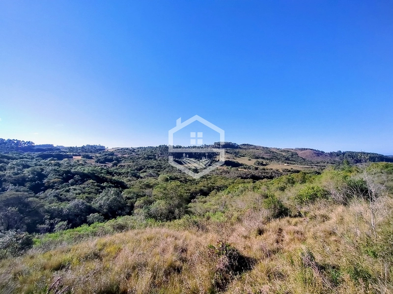 TRIPLA Aptidão, Agropecuária e Turismo Rural!: 2ª foto da galeria de imagens do imóvel