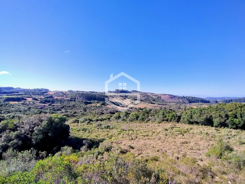 TRIPLA Aptidão, Agropecuária e Turismo Rural!: 6ª foto da galeria de imagens do imóvel