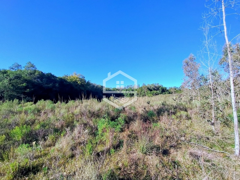 TRIPLA Aptidão, Agropecuária e Turismo Rural!: 10ª foto da galeria de imagens do imóvel