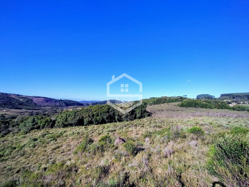 TRIPLA Aptidão, Agropecuária e Turismo Rural!: 3ª foto da galeria de imagens do imóvel