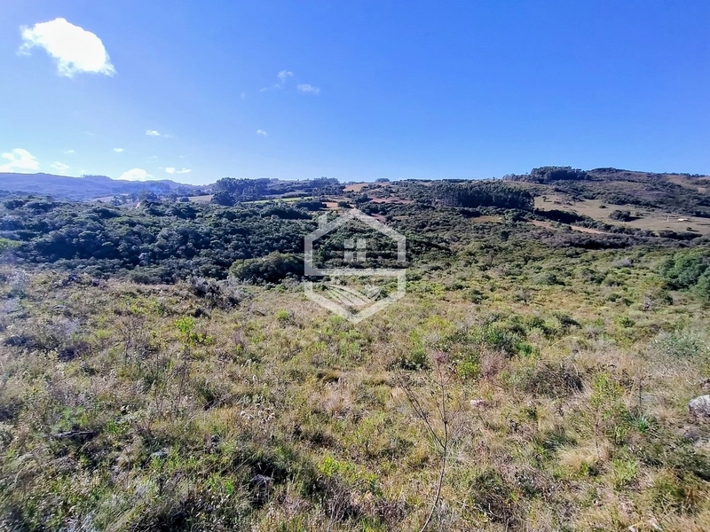 TRIPLA Aptidão, Agropecuária e Turismo Rural!: 5ª foto da galeria de imagens do imóvel