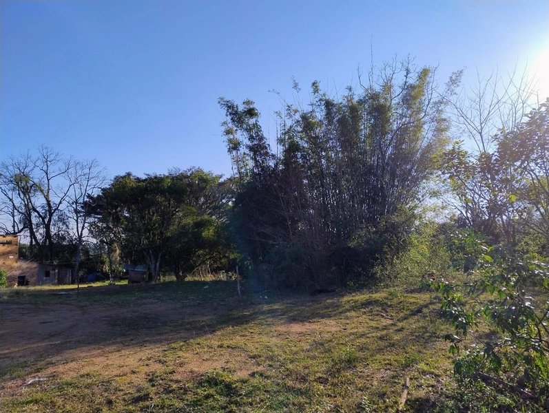 Área as margens da ERS-350.: 2ª foto da galeria de imagens do imóvel