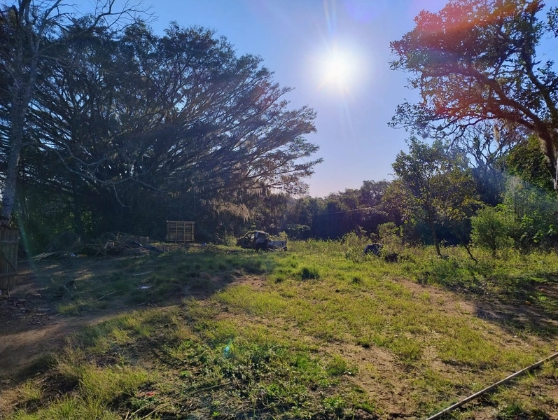 Área as margens da ERS-350.: 4ª foto da galeria de imagens do imóvel