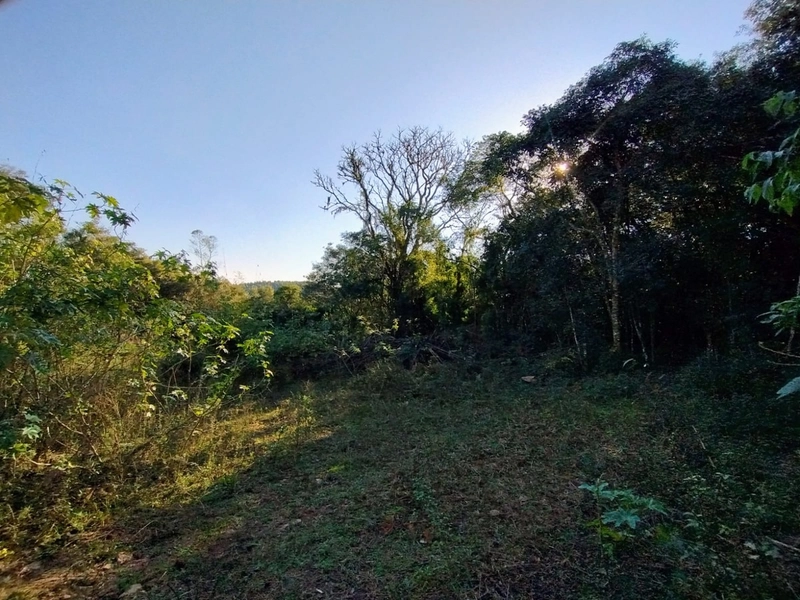 Área as margens da ERS-350.: 3ª foto da galeria de imagens do imóvel