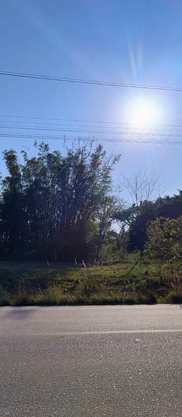 Área as margens da ERS-350.: 1ª foto da galeria de imagens do imóvel