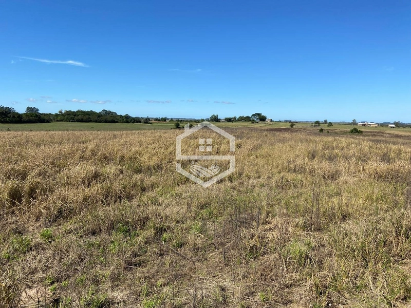 ÁREA DE TERRA DISPONÍVEL: 3ª foto da galeria de imagens do imóvel