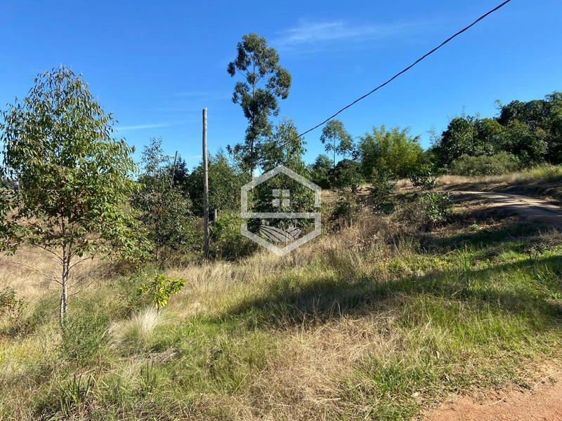 ÁREA DE TERRA DISPONÍVEL: 5ª foto da galeria de imagens do imóvel