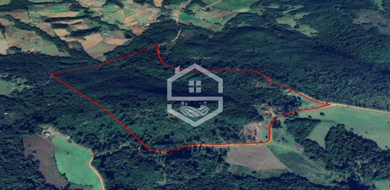 40ha interior de Chuvisca.: 5ª foto da galeria de imagens do imóvel