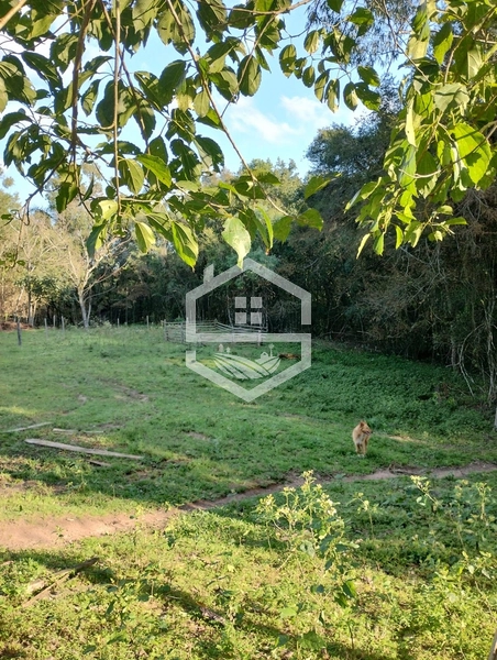 40ha interior de Chuvisca.: 16ª foto da galeria de imagens do imóvel