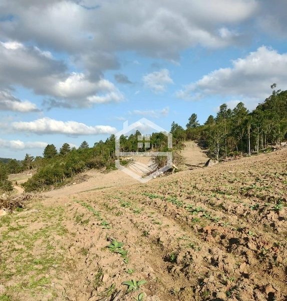 40ha interior de Chuvisca.: 1ª foto da galeria de imagens do imóvel