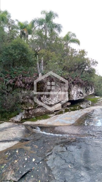 40ha interior de Chuvisca.: 12ª foto da galeria de imagens do imóvel