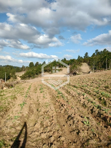 40ha interior de Chuvisca.: 11ª foto da galeria de imagens do imóvel