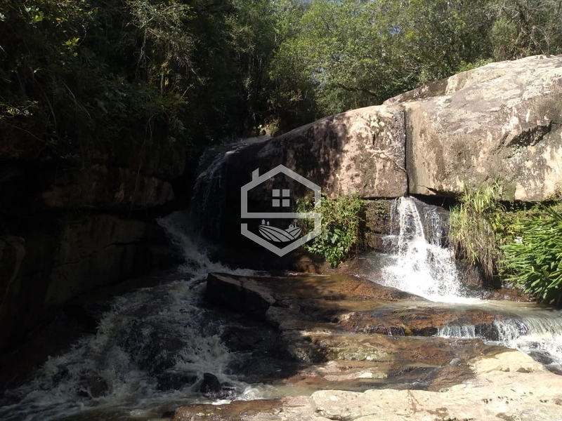 40ha interior de Chuvisca.: 14ª foto da galeria de imagens do imóvel