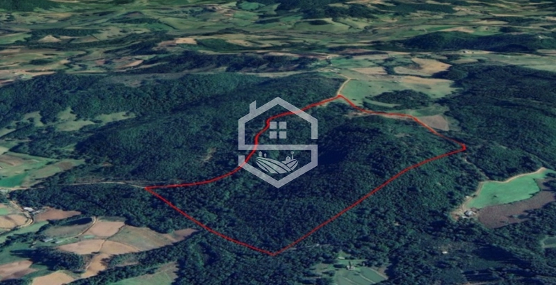 40ha interior de Chuvisca.: 4ª foto da galeria de imagens do imóvel