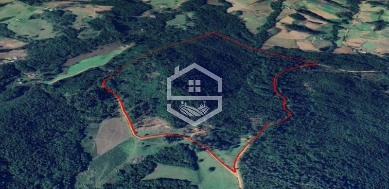 40ha interior de Chuvisca.: 6ª foto da galeria de imagens do imóvel