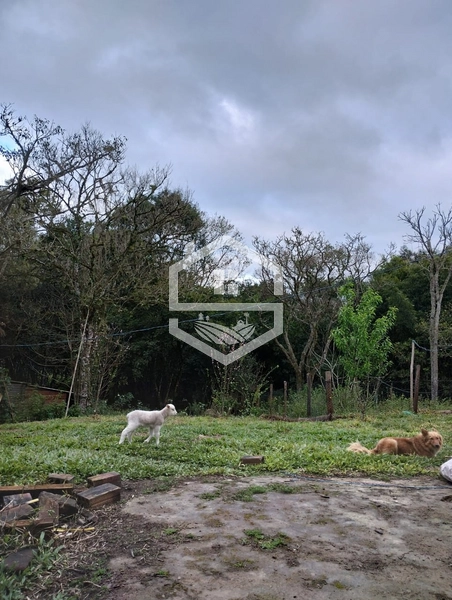 40ha interior de Chuvisca.: 20ª foto da galeria de imagens do imóvel