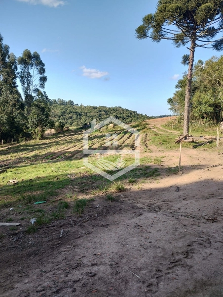 40ha interior de Chuvisca.: 8ª foto da galeria de imagens do imóvel