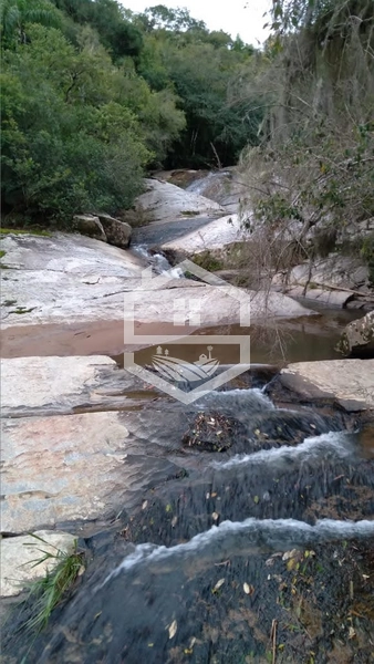 40ha interior de Chuvisca.: 13ª foto da galeria de imagens do imóvel