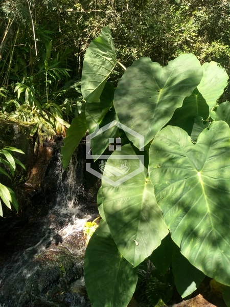 40ha interior de Chuvisca.: 18ª foto da galeria de imagens do imóvel