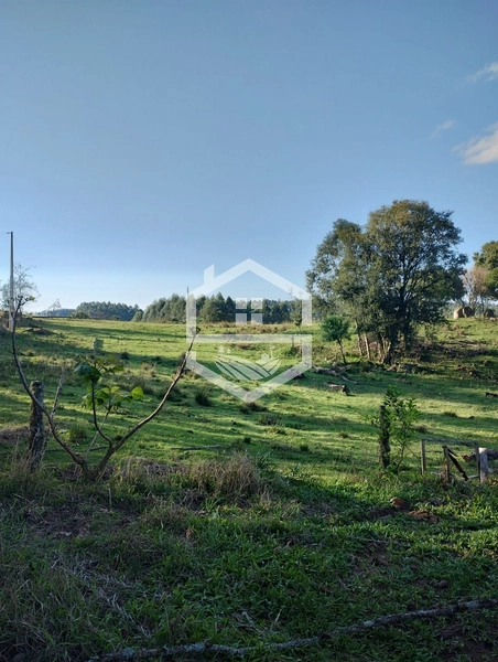 40ha interior de Chuvisca.: 17ª foto da galeria de imagens do imóvel