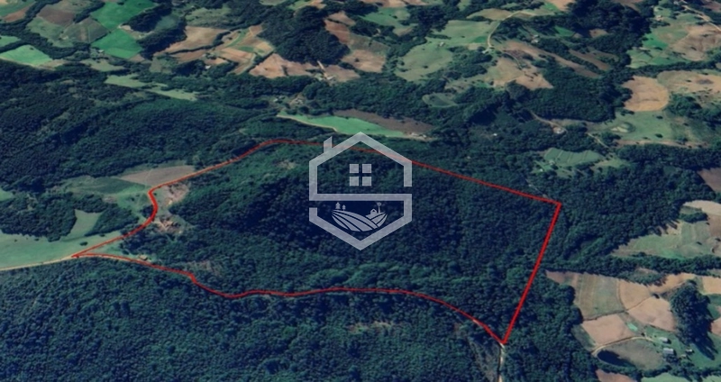 40ha interior de Chuvisca.: 2ª foto da galeria de imagens do imóvel