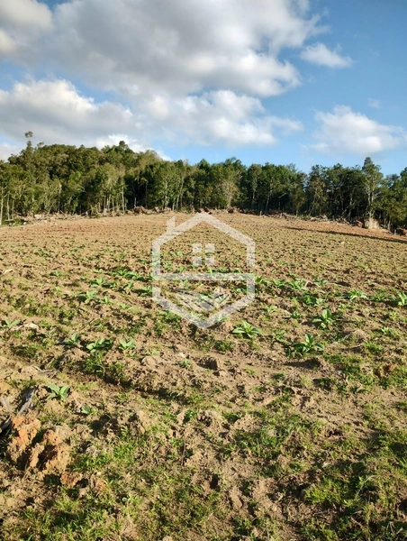 40ha interior de Chuvisca.: 9ª foto da galeria de imagens do imóvel