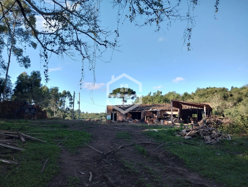 40ha interior de Chuvisca.: 7ª foto da galeria de imagens do imóvel