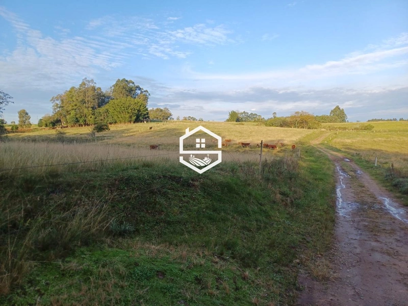 Área Rural para venda em Camaquã: 4ª foto da galeria de imagens do imóvel