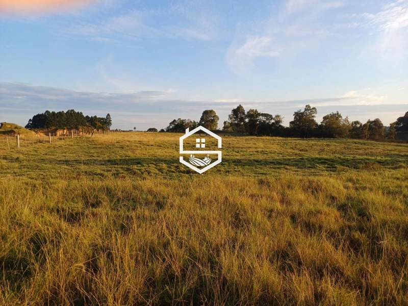 Área Rural para venda em Camaquã: 1ª foto da galeria de imagens do imóvel