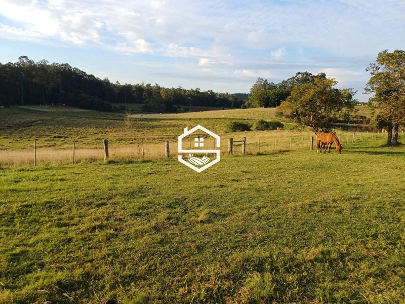 Área Rural para venda em Camaquã: 3ª foto da galeria de imagens do imóvel