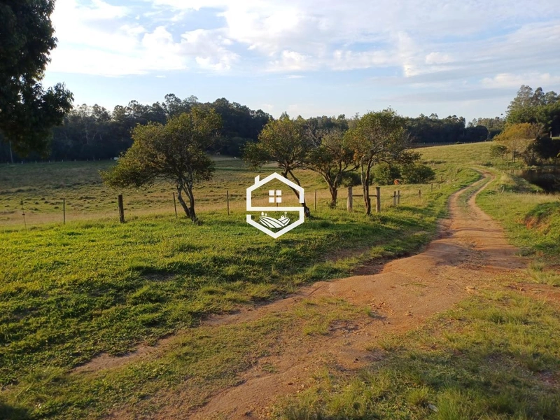 Área Rural para venda em Camaquã: 5ª foto da galeria de imagens do imóvel