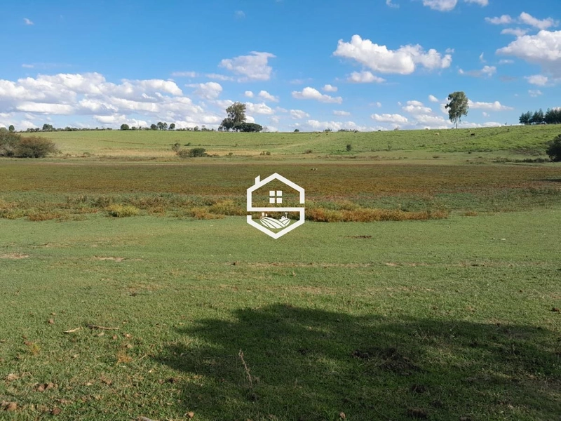 Área Rural para venda em Sentinela do Sul: 3ª foto da galeria de imagens do imóvel