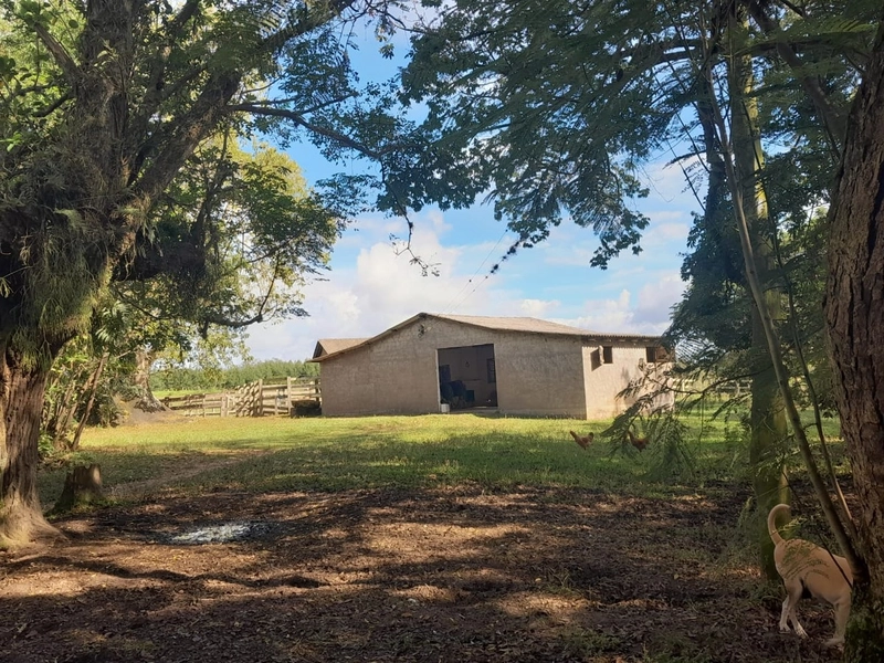 Área Rural para venda em Sentinela do Sul: 9ª foto da galeria de imagens do imóvel