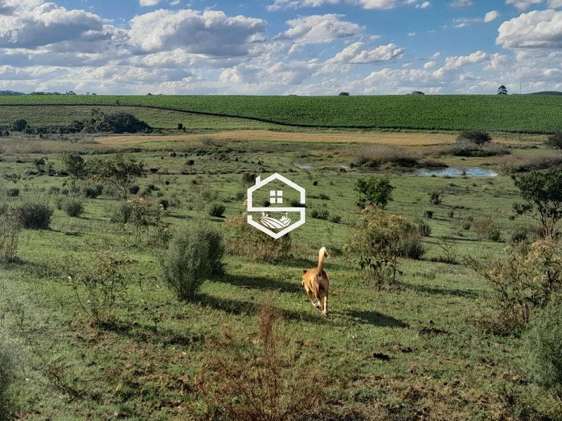Área Rural para venda em Sentinela do Sul: 4ª foto da galeria de imagens do imóvel