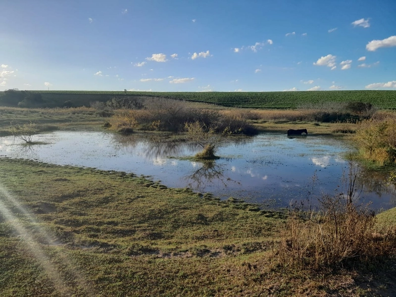 Área Rural para venda em Sentinela do Sul: 6ª foto da galeria de imagens do imóvel